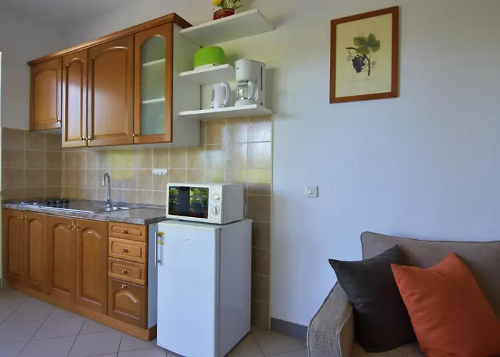 Appartamento With Parking Spaces Dajla, Novigrad - 22735