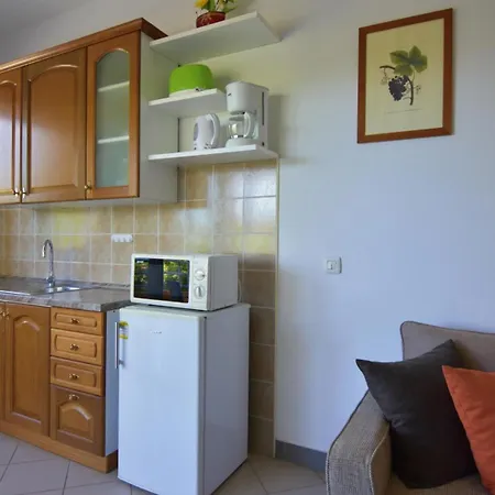 Apartment With A Parking Space Dajla, Novigrad - 22735